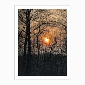 Sunrise Through The Trees Art Print