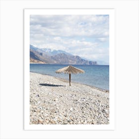 Palm Leaf Parasol Snowy Mountain Art Print