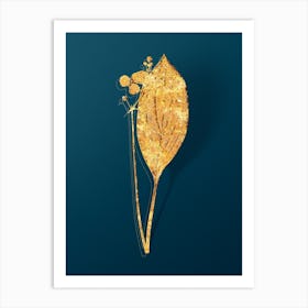 Vintage Bulltongue Arrowhead Botanical in Gold on Teal Blue n.0095 Art Print