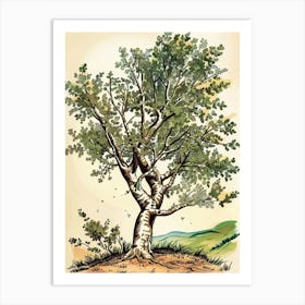 Alder Tree Storybook Illustration 2 Art Print