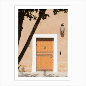 Door To A House Art Print