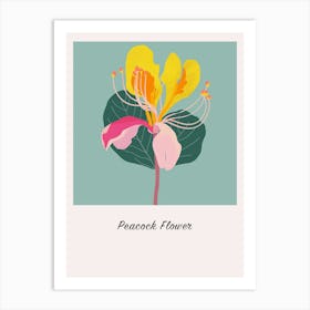 Peacock Flower 1 Square Flower Illustration Poster Art Print