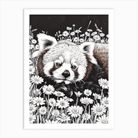 Red Panda Resting In A Field Of Daisies Ink Illustration 2 Art Print