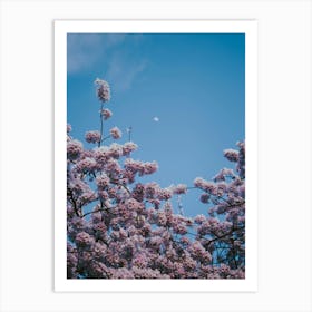 Cherry Moon Art Print