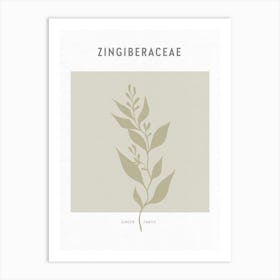 Boho Leaves 2 Zingiberaceae Art Print