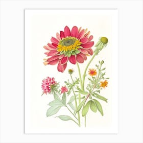 Zinnia Floral Quentin Blake Inspired Illustration 1 Flower Art Print