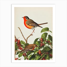 European Robin James Audubon Vintage Style Bird Art Print