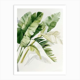 Tropical Leaves 20 Art Print