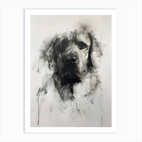 Kuvasz Dog Charcoal Line 2 Art Print