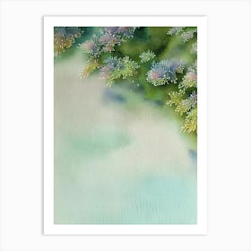 Acropora Gemmifera Vi Storybook Watercolour Art Print