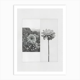 Marigold Flower Photo Collage 4 Art Print