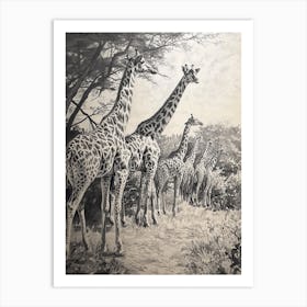 Pencil Portrait Herd Of Giraffes In The Wild  2 Art Print