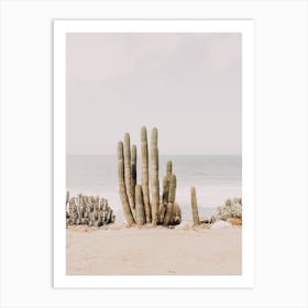 Oceanside Cactus Art Print