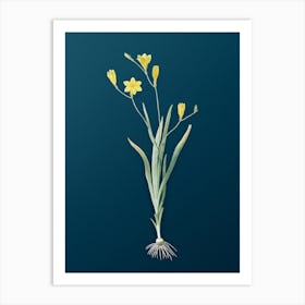 Vintage Ixia Bulbifera Botanical Art on Teal Blue Art Print