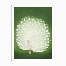 White Peacock, Vintage Asian Art Print