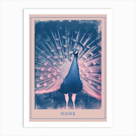 Pink & Blue Peacock Feathers Poster Art Print