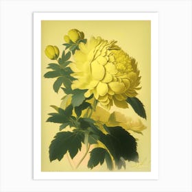 Monsieur Jules Elie Peonies Yellow 1 Vintage Sketch Art Print