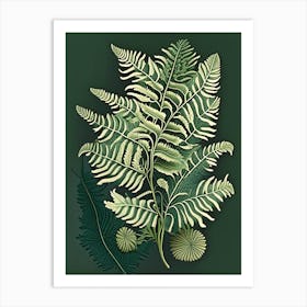 Sensitive Fern Wildflower Vintage Botanical 2 Art Print