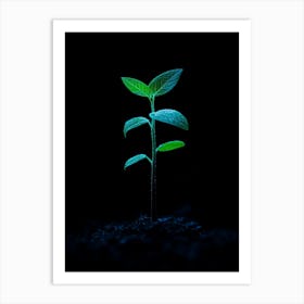 Young Green Plant On Black Background 8 Art Print