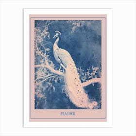 White & Blue Cyanotype Inspired Peacock Poster Art Print