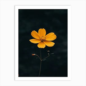 Yellow Flower Art Print