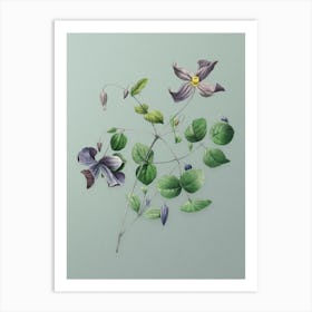 Vintage Virgin's Bower Botanical Art on Mint Green n.0203 Art Print