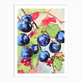 Blackcurrant 1 Vintage Sketch Fruit Art Print