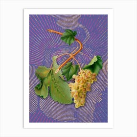Vintage Vermentino Grapes Botanical Illustration on Veri Peri n.0396 Art Print