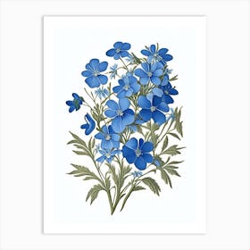 Wild Blue Phlox Wildflower Vintage Botanical 1 Art Print