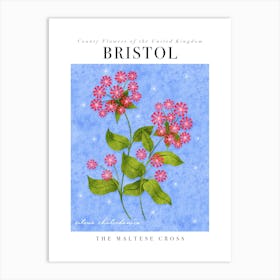 County Flower of Bristol Maltese Cross Art Print