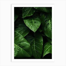 Green Leaves Art Print