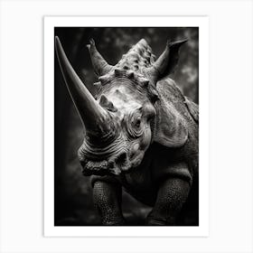 Black And White Photograph Of A Triceratops 2 Art Print