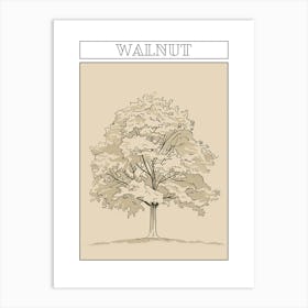 Walnut Tree Minimalistic Drawing 3 Poster Art Print