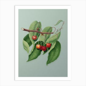 Vintage Cherry Botanical Art on Mint Green n.0592 Art Print