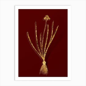 Vintage Spring Squill Botanical in Gold on Red n.0567 Art Print