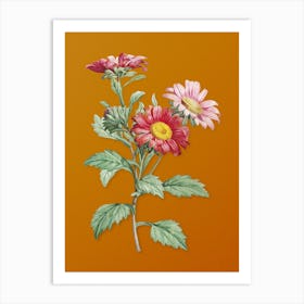 Vintage Red Aster Flowers Botanical on Sunset Orange n.0341 Art Print