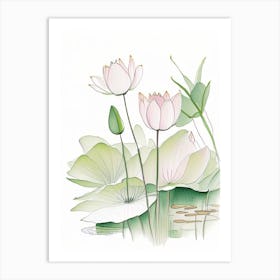 Lotus Flowers In Park Pencil Illustration 1 Art Print