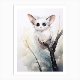 Light Watercolor Painting Of A Feather Tail Glider 1 Art Print