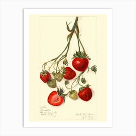 Strawberry Print Art Print