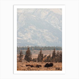 Three Moose Art Print