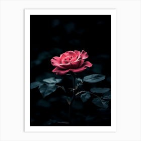 Dark Rose 67 Art Print