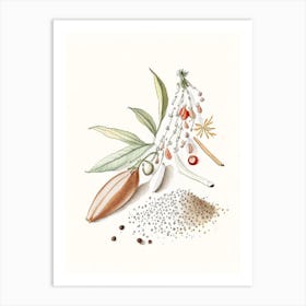 White Pepper Spices And Herbs Pencil Illustration Art Print