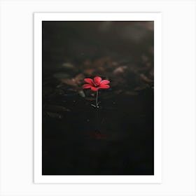 Dark Flower 29 Art Print