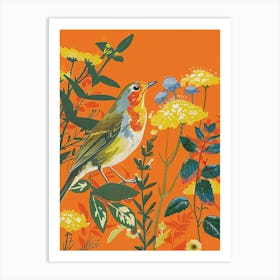 Spring Birds Robin 4 Art Print