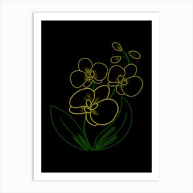 Orchids On A Black Background Art Print