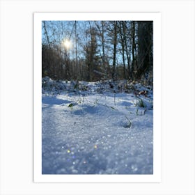 Snow In The Woods Art Print