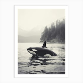 Misty Black & White Orca Whale Forest And Ocean Photography Style 2 Art Print