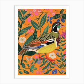 Spring Birds Wood Duck 1 Art Print