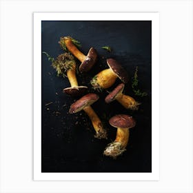 Wild mushrooms — Food kitchen poster/blackboard, photo art Art Print