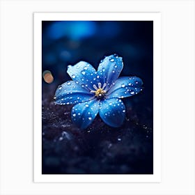 Beautiful Winter Flower 5 Art Print